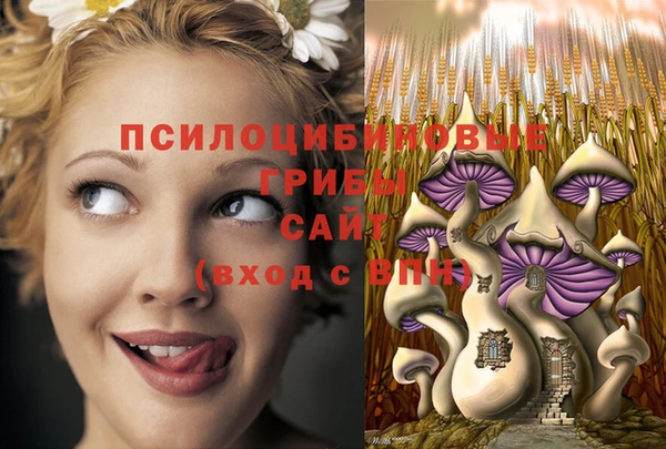 стаф Протвино
