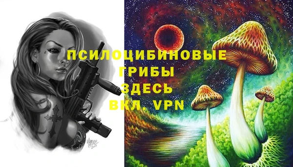 дмт Аркадак