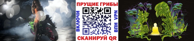 Псилоцибиновые грибы Psilocybine cubensis  Покров 